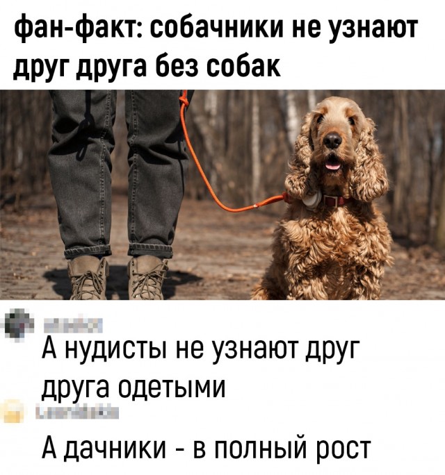Так себе картинки 26.05.22