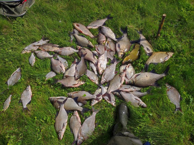 Рыбалки псто