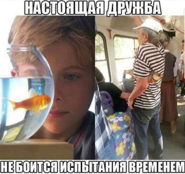 Картинки аморальные и всякие разные - 33
