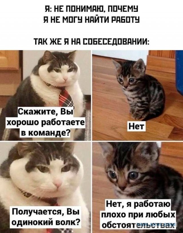 Так себе картинки 23.06.22