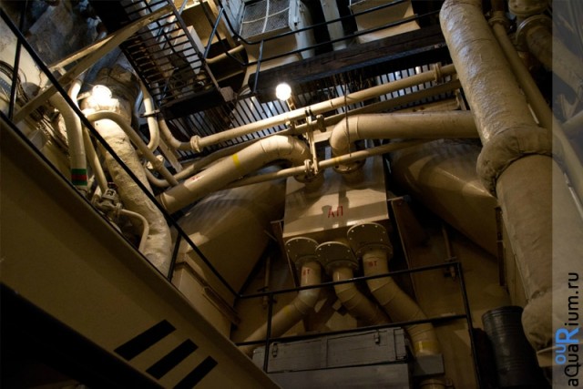 СПб глазами уставшего туриста...