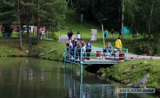 Наукоград Кольцово, Новосибирская область