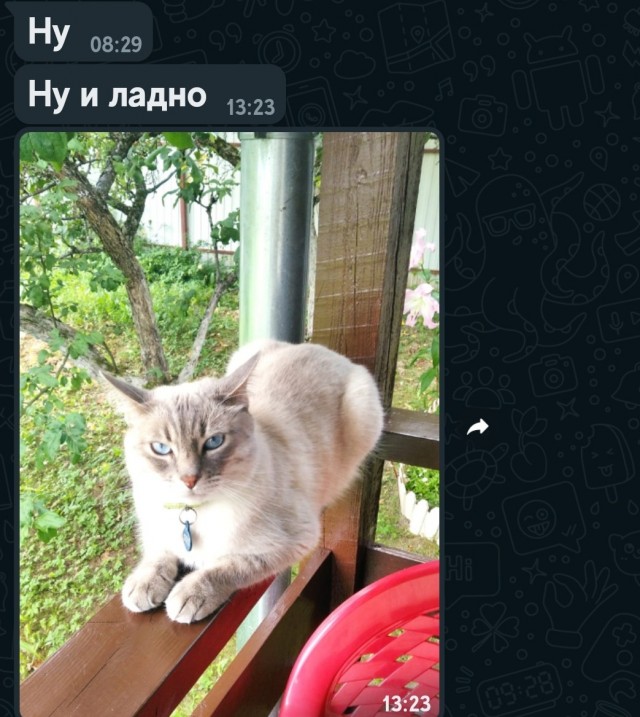 Развёлся чтобы жениться. Часть вторая «Ну нахер или я отсюда сваливаю!»