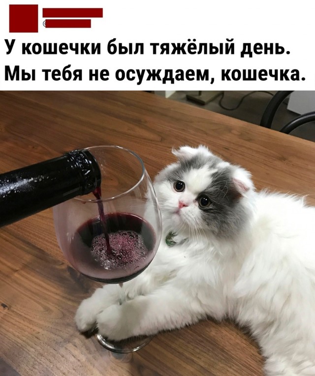 Так себе картинки 12.09.22