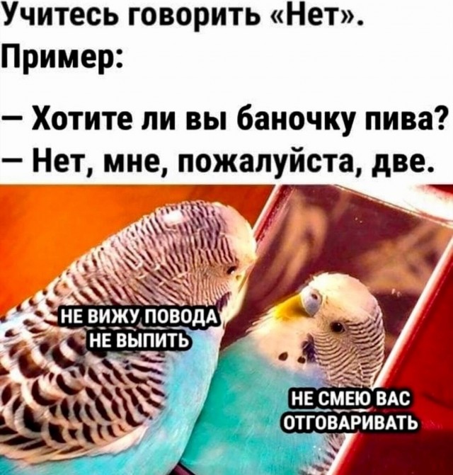 Юмор в картинках и без 04.10.2022