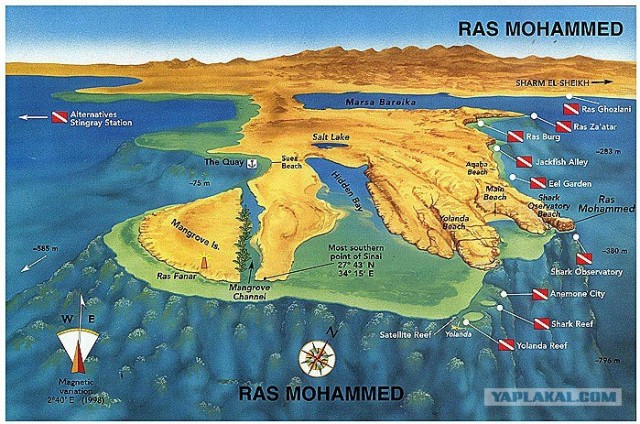 Синайские приключения. Шарм-эш-Шейх и окресности