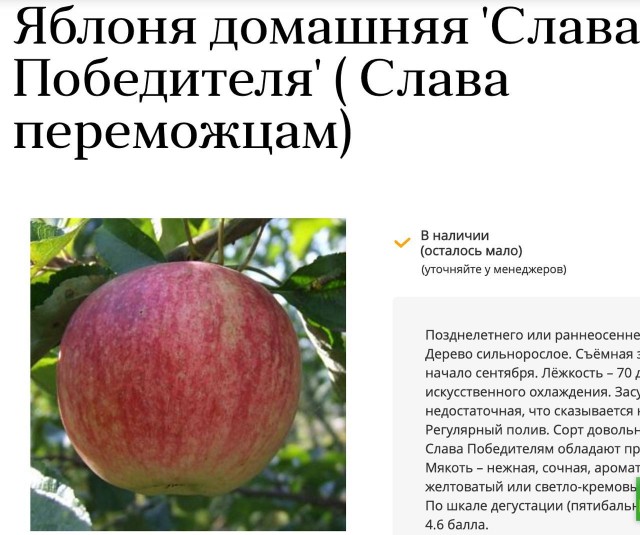 «Сидит бабушка, делать нечего и начинает придумывать»