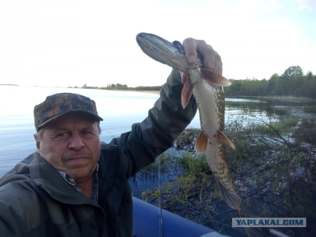 С днём рыбака!