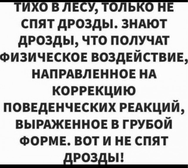 Так себе картинки 13.07.23