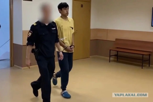 Задержан 18-летний мигрант, напавший на женщину в Москве