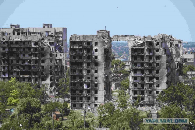 Актриса Полина Меньших была убита во время концерта в ДНР