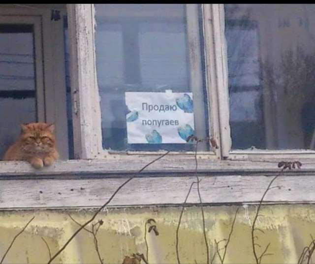 З-Забота