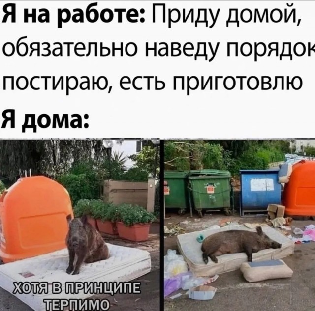 Завалялось тут случайно немного забавных картинок