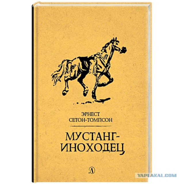 Теперь вы видели, как лошади бегают