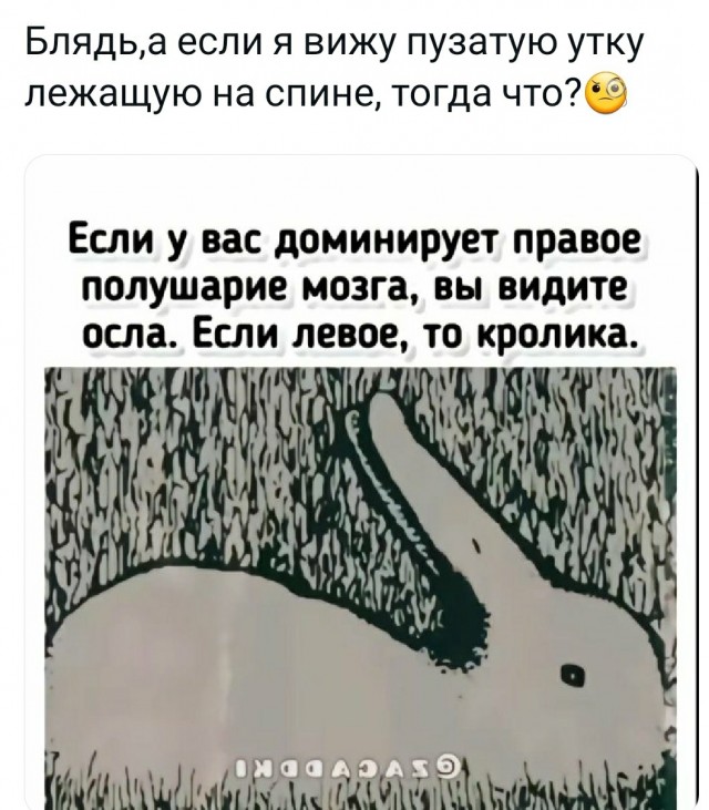 Немного пошлых картинок 16+ 21.08.24