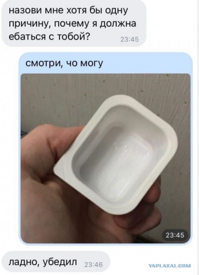 Весёлый полтишок 29.08.24