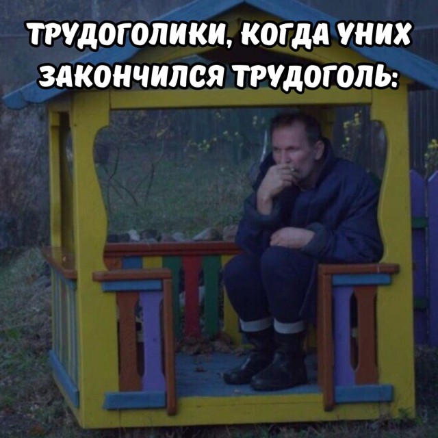 Весёлый полтишок 19.09.24