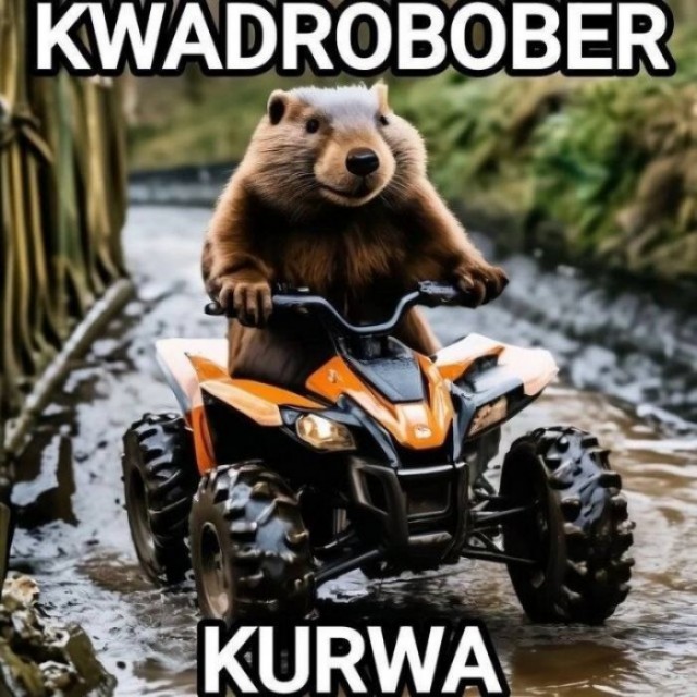 А в Польше все стабильно