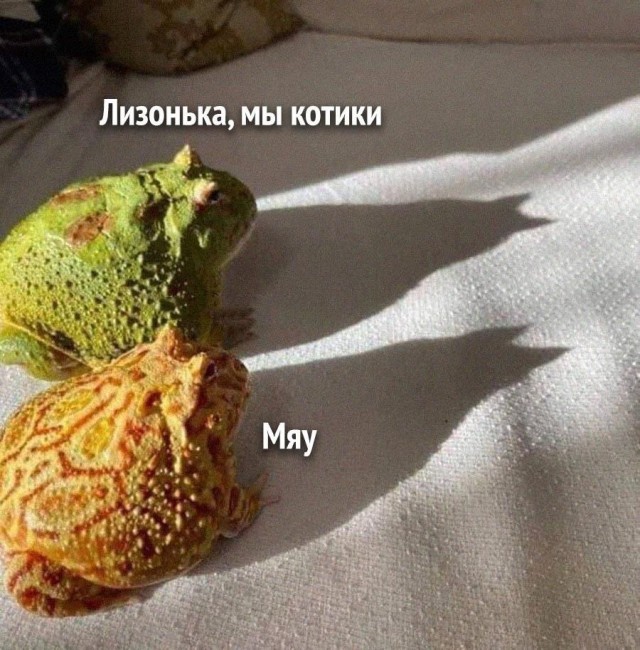 Завалялось тут случайно немного забавных картинок