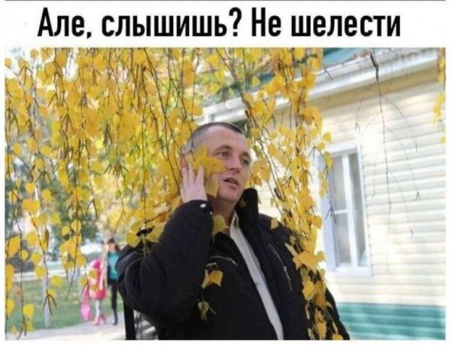Кто украл мой пертуссин?