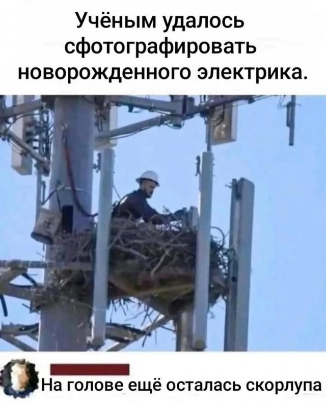 У меня муж дома