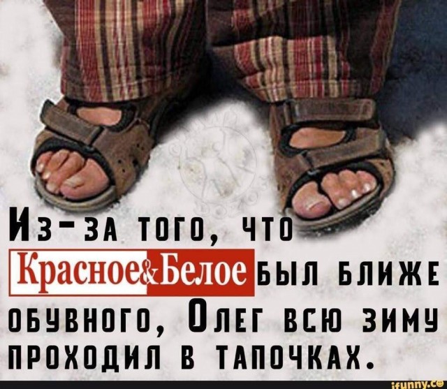 Картинки 23.04.25