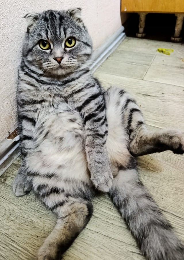 Ура! На дачу!