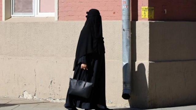 И только у нас заповедник...