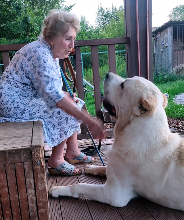 Пришел пëс
