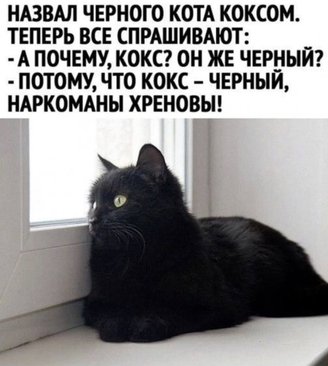 Картинки для деградации 39 (разной степени свежести)
