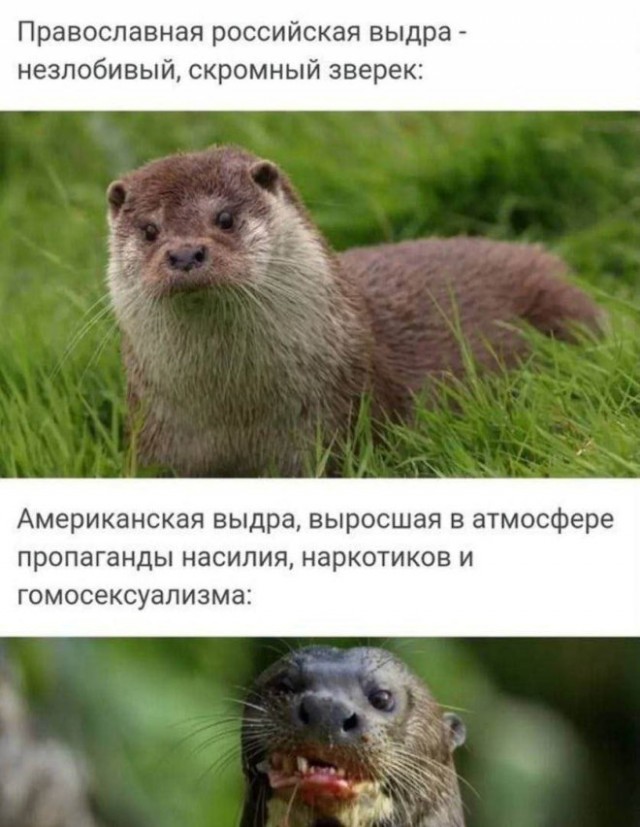 Картиночки, баянчики 12 декабря