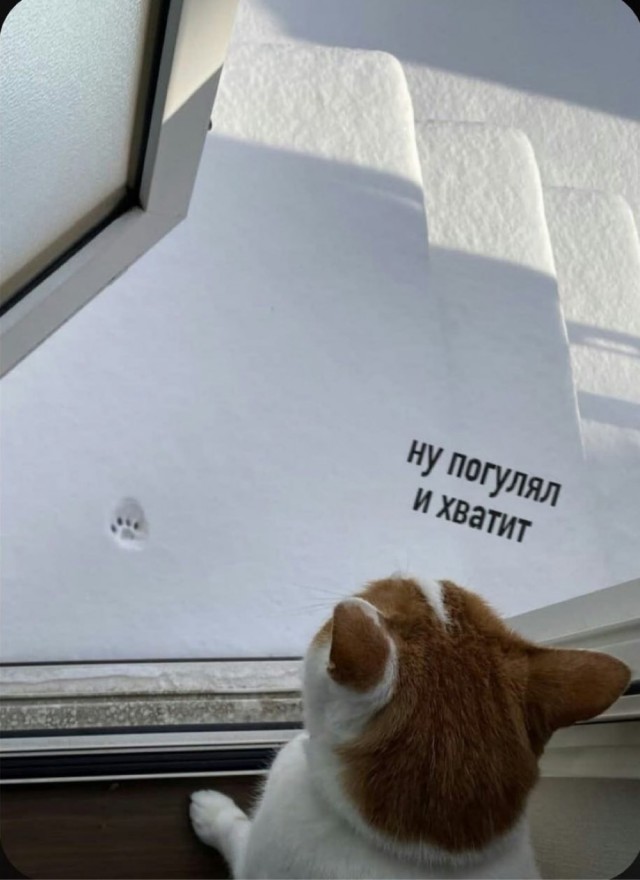 Четверговые картинки