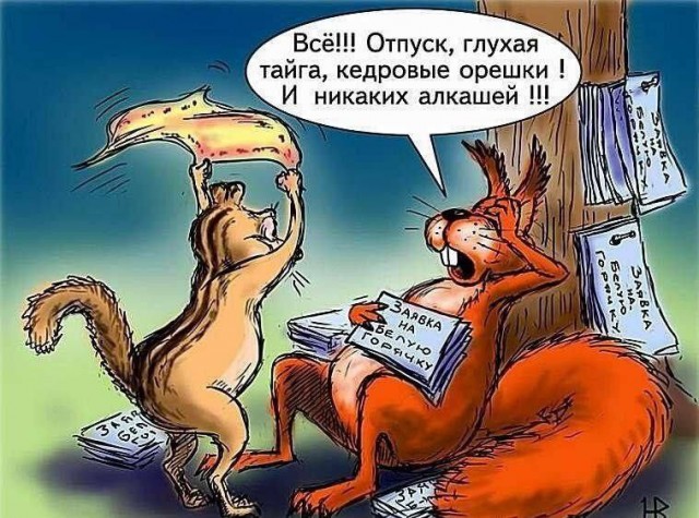 Картинки на кануне Рождества.