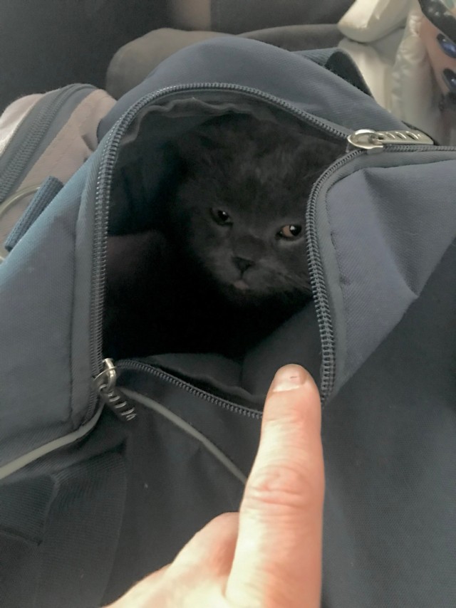 Безымянная извечная битва