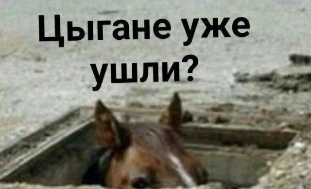 Томми снова в деле