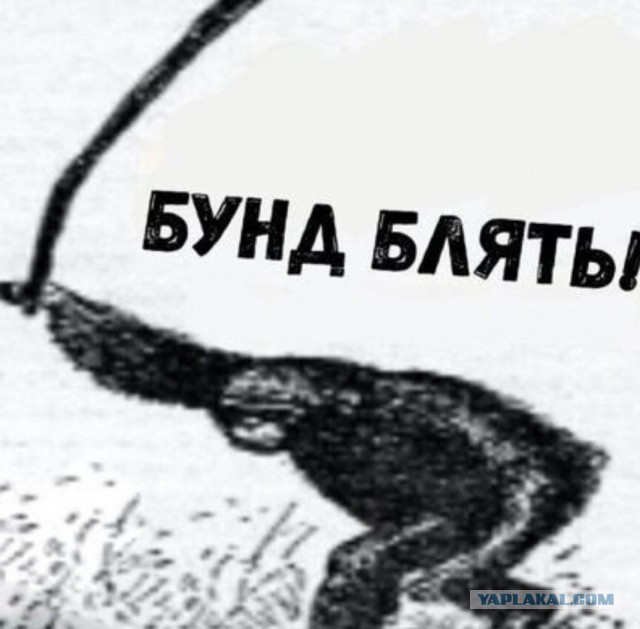 Крокодил Гена и Чебурашка пропагандируют наркотики — на книжном сайте появились маркировки