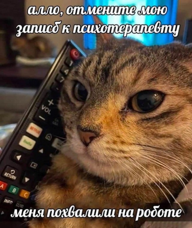 Картинки на среду