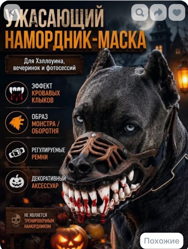 Намордник