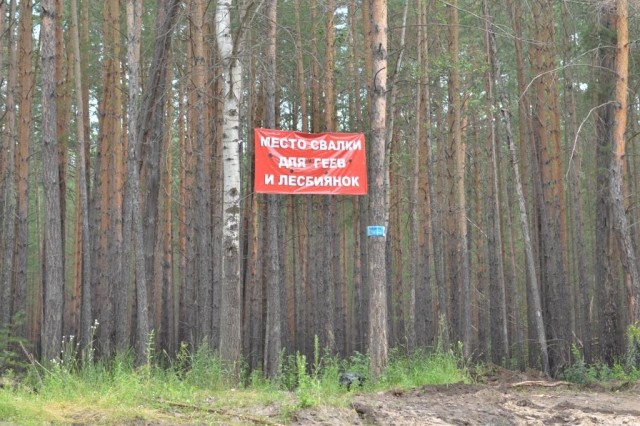 Шёл я лесом...