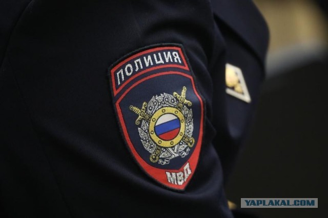 В Петербурге на берегу Лиговского канала нашли человеческие останки