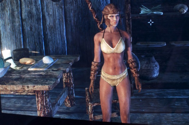 The Elder Scrolls V Skyrim