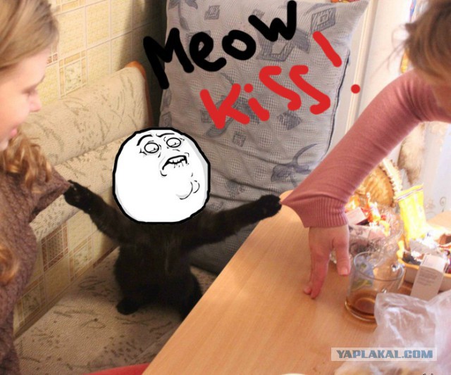 Стоять бояться!