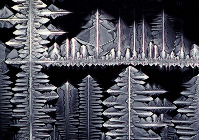 Конкурс микрофотографии от Nikon