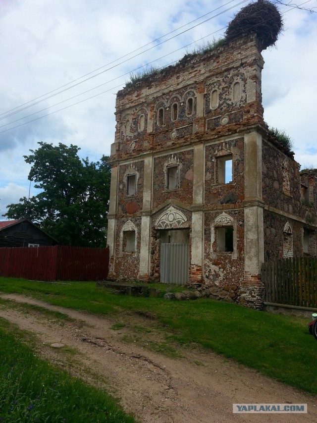 Беларусь 2014