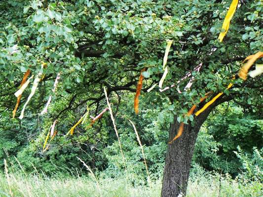 Отдыхая, не вреди!