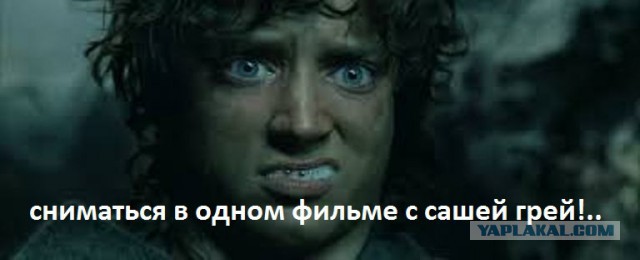 Саша Грей представит в Москве новый фильм