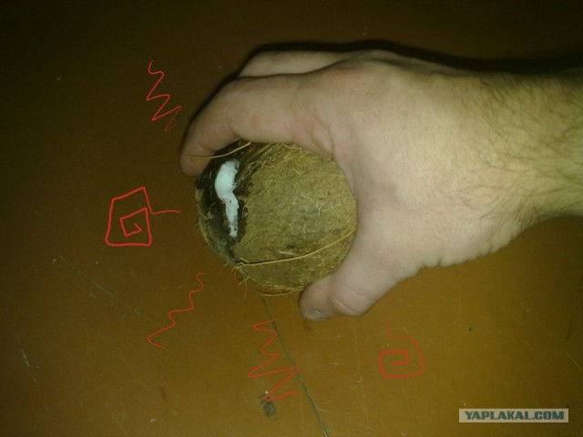 Как почистить кокос