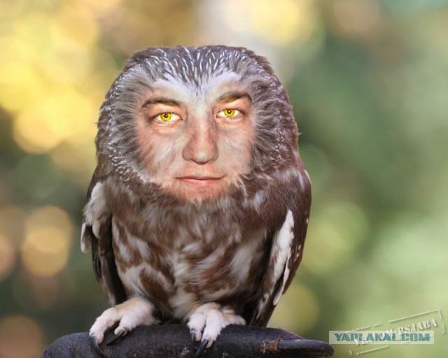 Отфотошопте моё фото