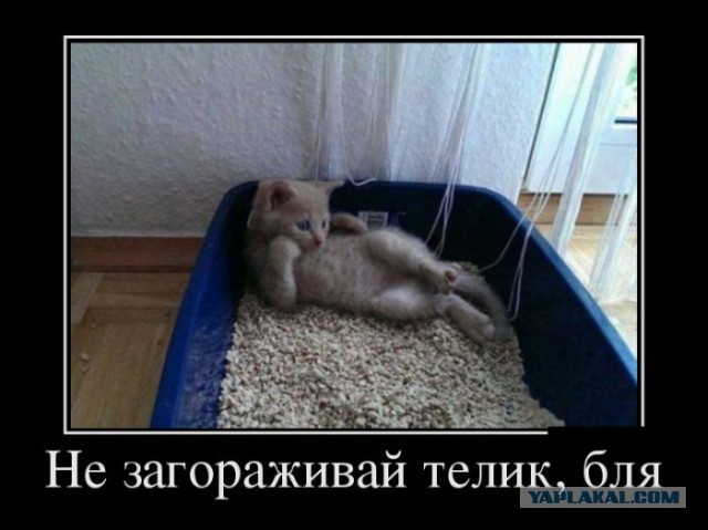 Демотиваторы вторника