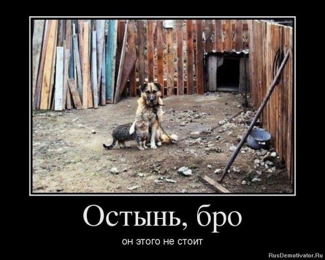 Котовторнику посвящается.